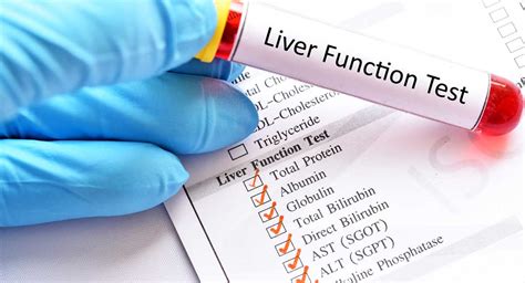 effect.of.hard exercise.on liver function blood test results|can exercise cause liver function tests.